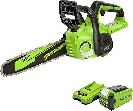 Greenworks 40V 12 Cordless Compact Chainsaw Great For Storm Clean-Up, Pruning, and Camping, 2.0Ah Battery and Charger Included